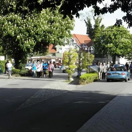 Seepferdchen Zingst