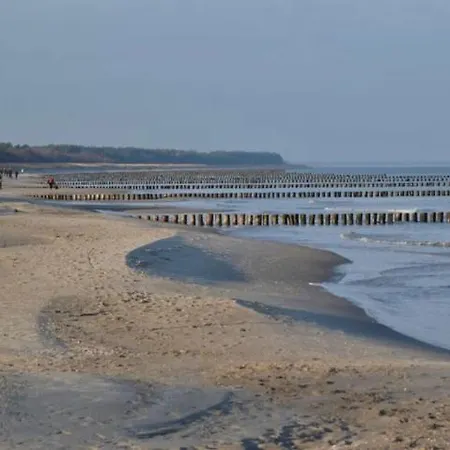 Seepferdchen Zingst