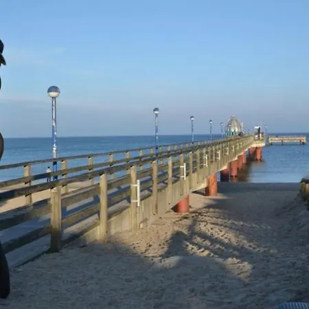 Seepferdchen * Zingst