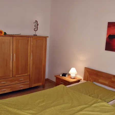 Seepferdchen *